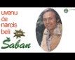 Uvenuće narcis beli - D