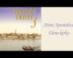 Eleno kerko - 