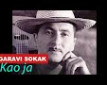 Kao ja - r