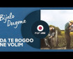 Da te bogdo ne volim - Bijelo Dugme