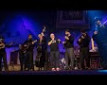 Mala vidra - A