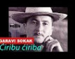 Ćiribu ćiriba - r