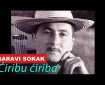 Ćiribu ćiriba - Garavi Sokak