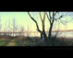 Ne udaj se Rado - b