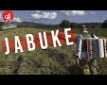Jabuke - i