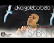 Dva galeba bela - o