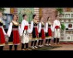 Nek podigne ruku - M
