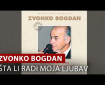 Šta li radi moja ljubav - Zvonko Bogdan