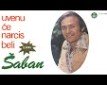 Uvenuće narcis beli -  