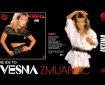 Ne ide to - Vesna Zmijanac