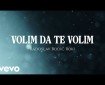 Volim da te volim - Radoslav Rodić Roki