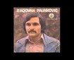 Tri nas dana deliše od sreće - Radovan Paunković