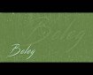 Beleg - Zorica Brunclik