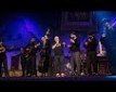 Mala vidra - 