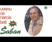 Zbog nje sam ostavio majku - Šaban Šaulić