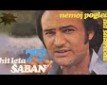 Jedna lasta ne čini proleće - e