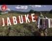 Jabuke - z